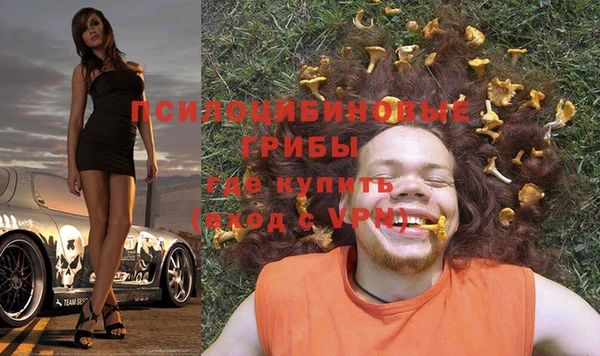 мдма Няндома